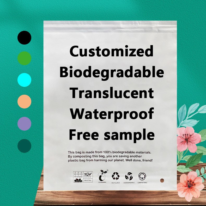 Zeal X Meluncurkan Kantong Biodegradable PLA PBAT Berkinerja Tinggi untuk Solusi Pengemasan Berkelanjutan di Seluruh Dunia